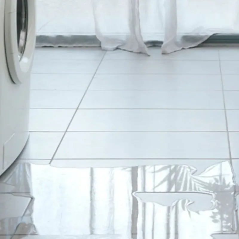 Appliance Leak Cleanup in Willamina, OR