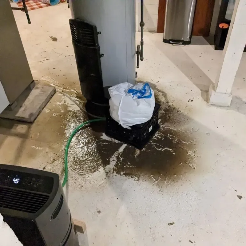 Sewage Backup Cleanup Service in Willamina, OR